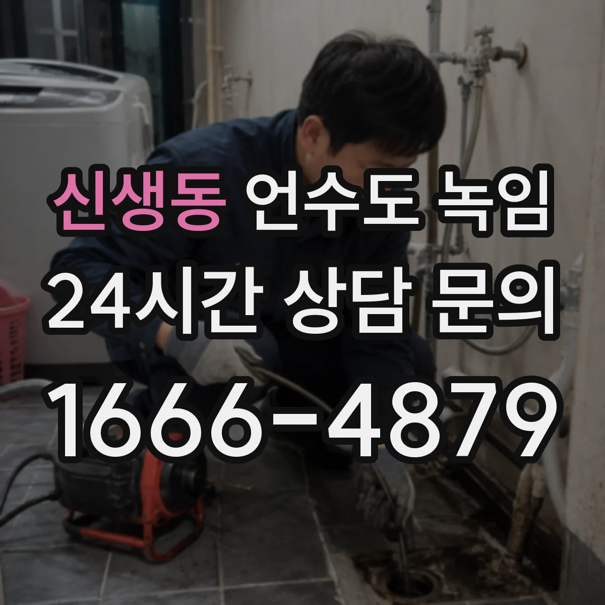 신생동 언수도 녹임