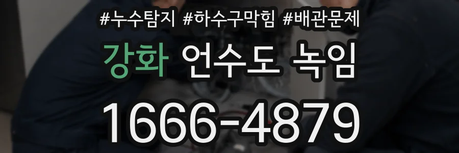 강화 언수도 녹임