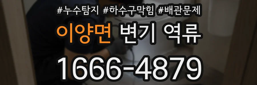 이양면 변기 역류