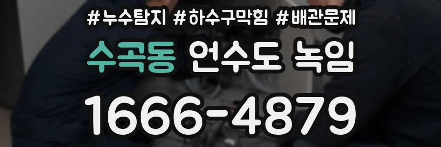 수곡동 언수도 녹임