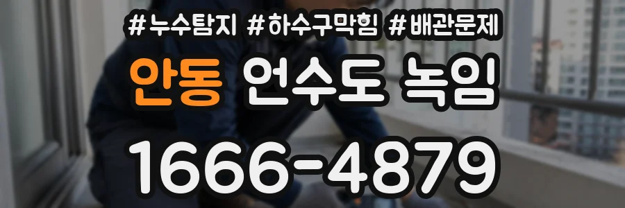 안동 언수도 녹임