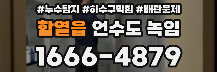 함열읍 언수도 녹임