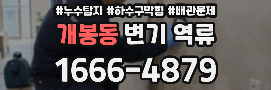 개봉동 변기 역류