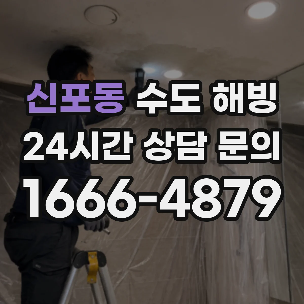 신포동 수도 해빙