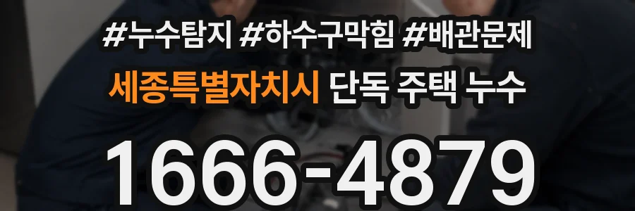 세종특별자치시 단독 주택 누수