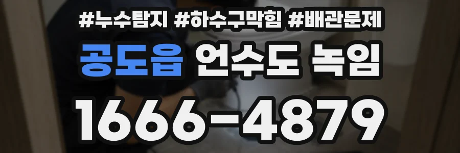 공도읍 언수도 녹임