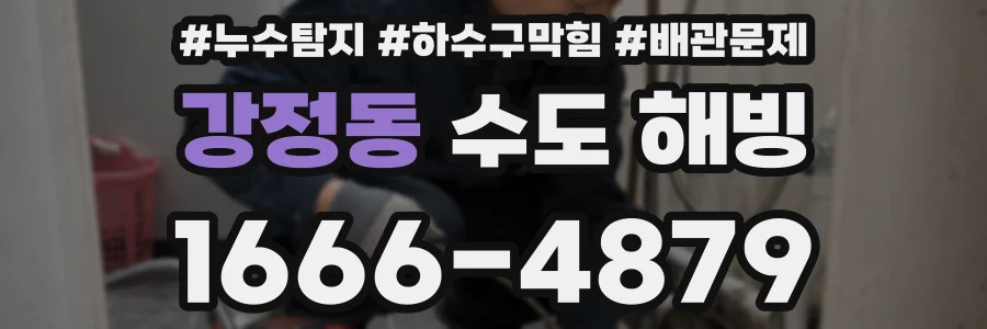 강정동 수도 해빙