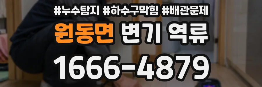 원동면 변기 역류