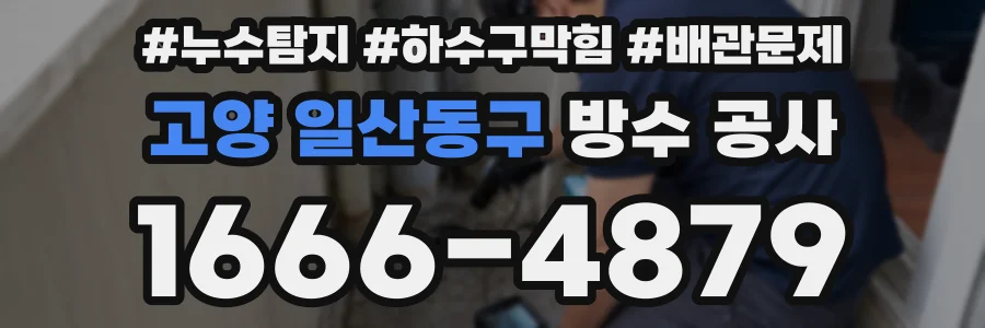 고양 일산동구 방수 공사