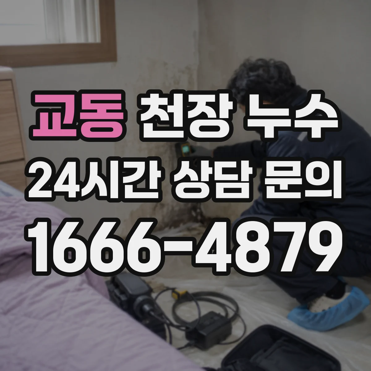 교동 천장 누수
