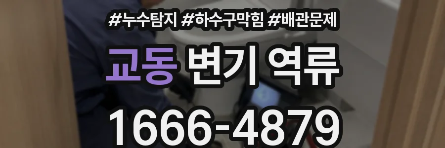 교동 변기 역류