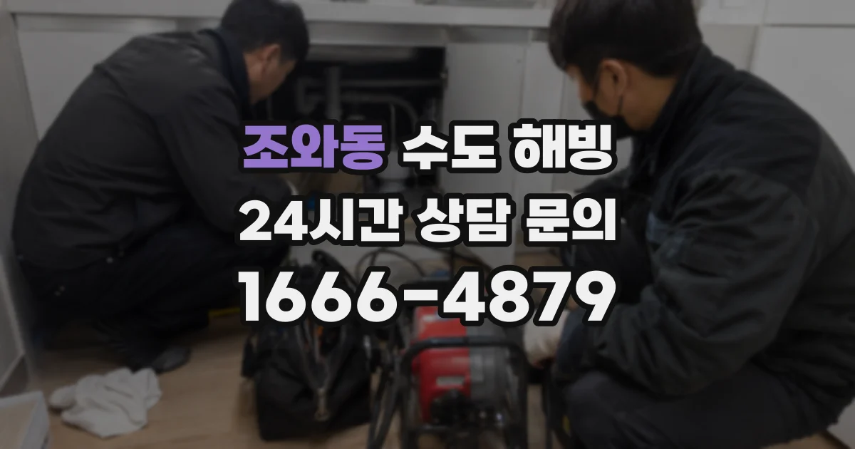 조와동 수도 해빙