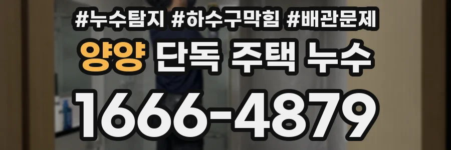 양양 단독 주택 누수