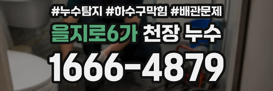 을지로6가 천장 누수