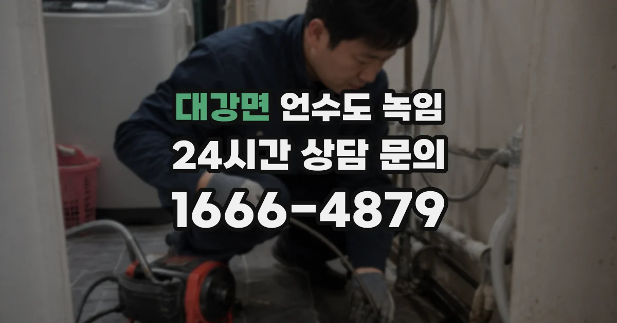 대강면 언수도 녹임