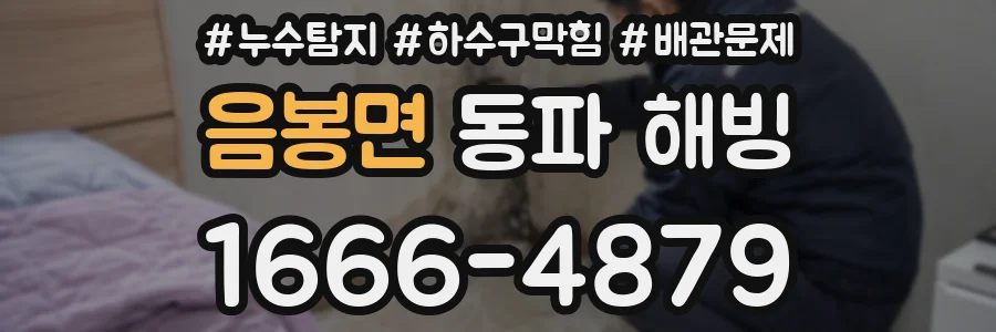 음봉면 동파 해빙