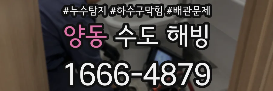 양동 수도 해빙