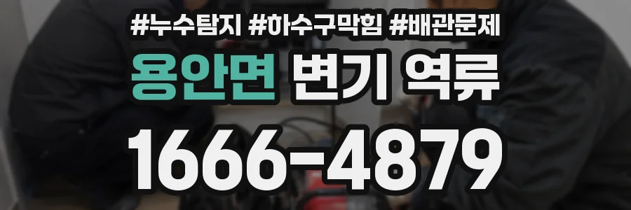 용안면 변기 역류