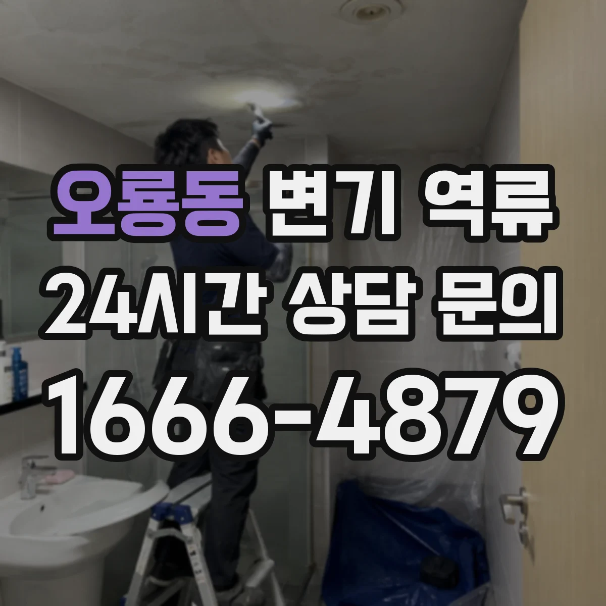 오룡동 변기 역류