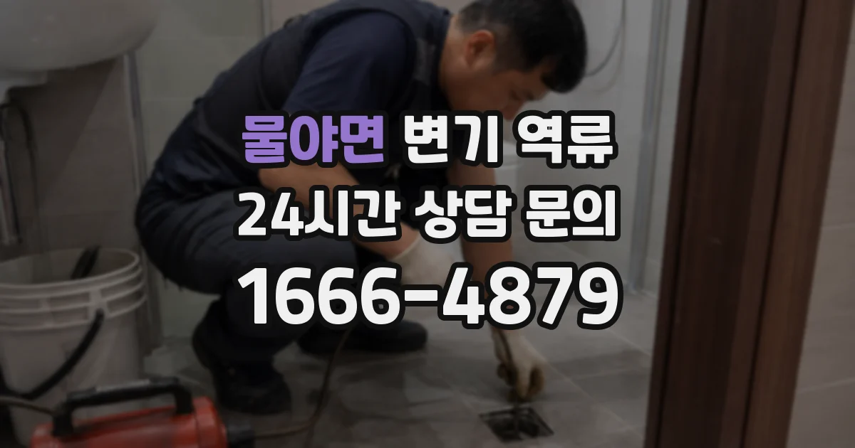 물야면 변기 역류