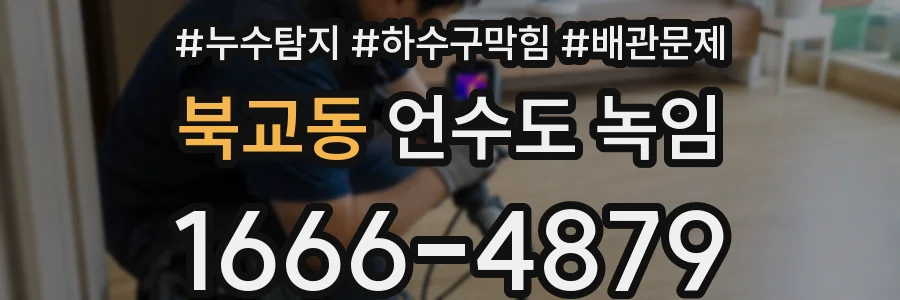 북교동 언수도 녹임