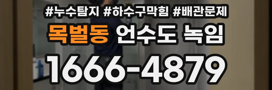 목벌동 언수도 녹임