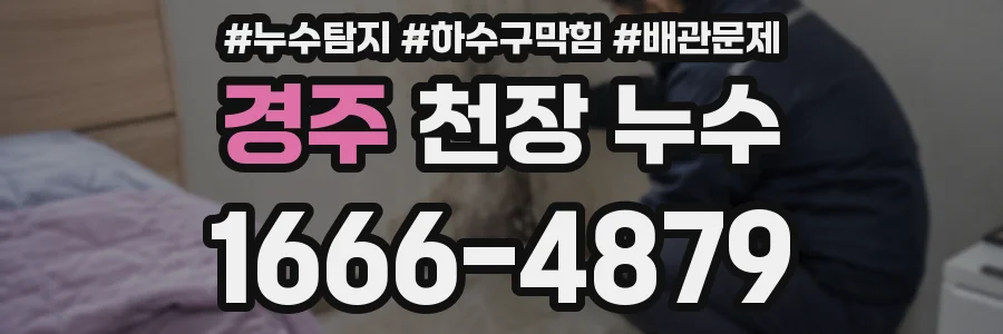 경주 천장 누수