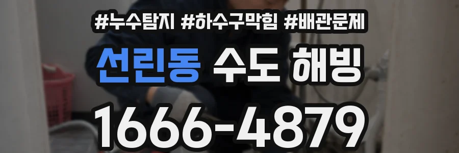 선린동 수도 해빙