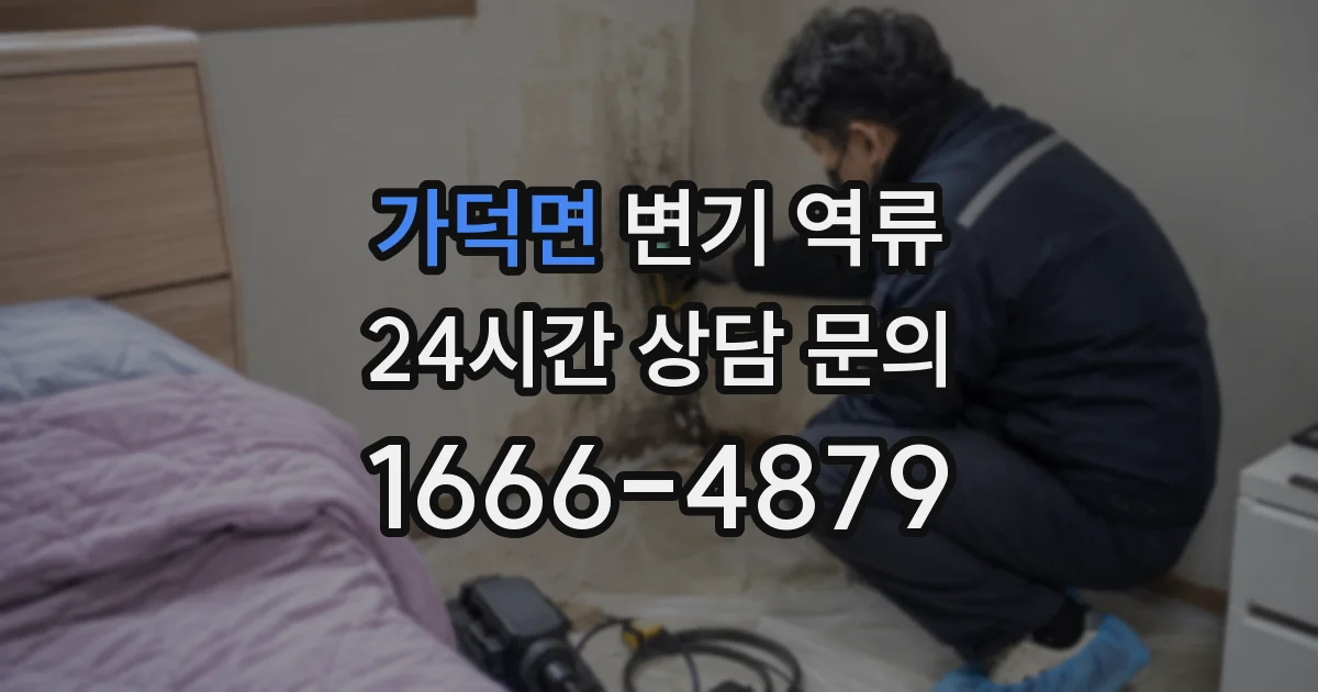 가덕면 변기 역류