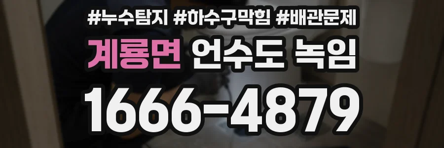 계룡면 언수도 녹임