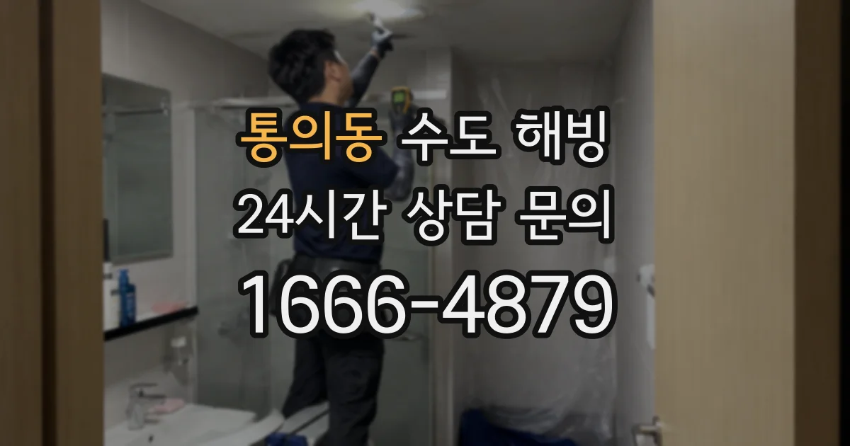 통의동 수도 해빙