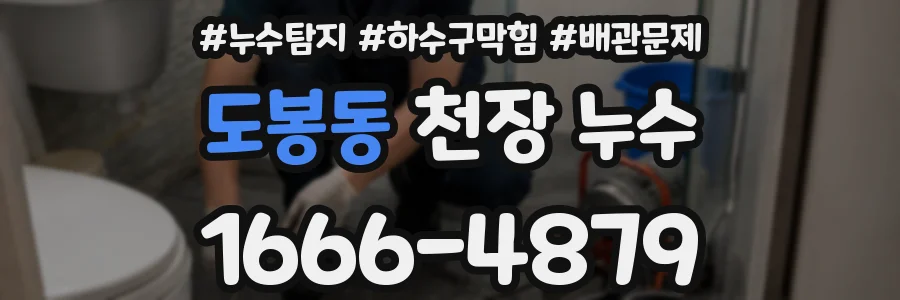 도봉동 천장 누수