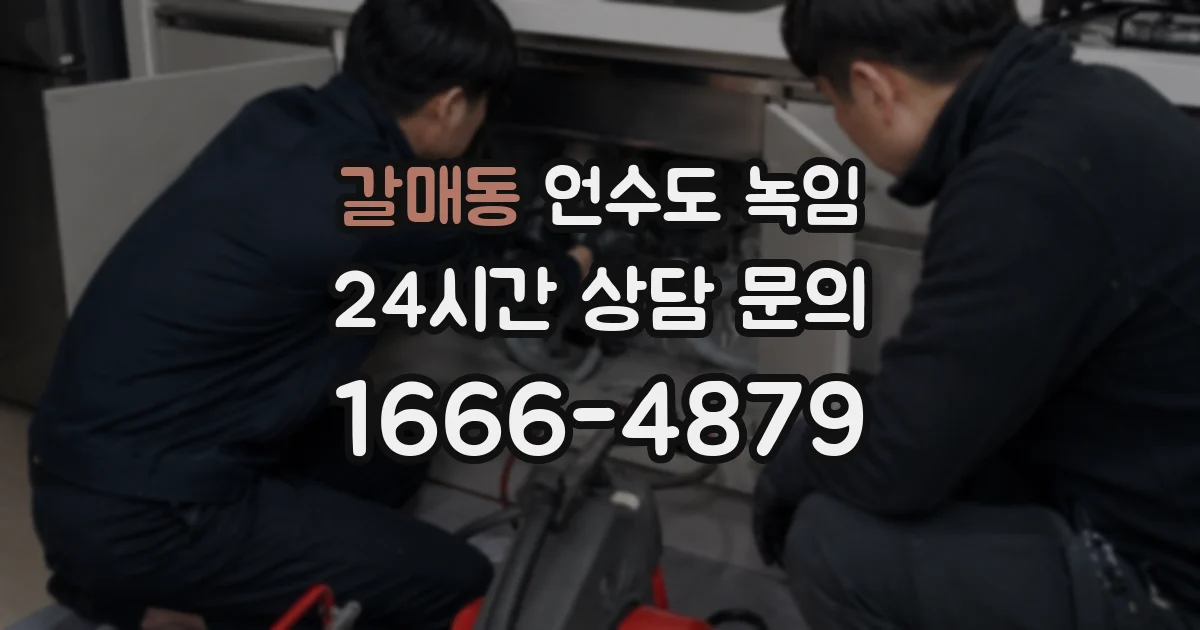 갈매동 언수도 녹임