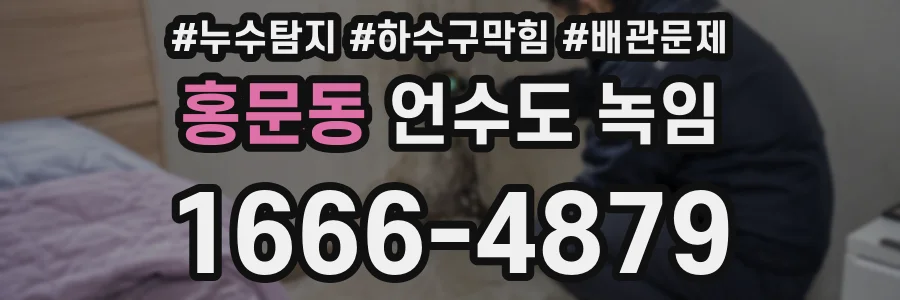 홍문동 언수도 녹임