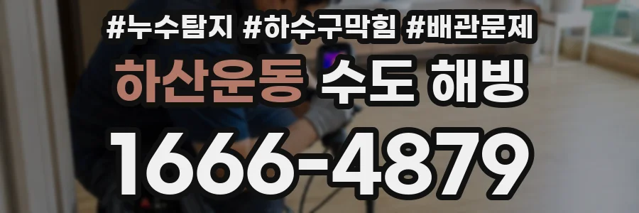 하산운동 수도 해빙