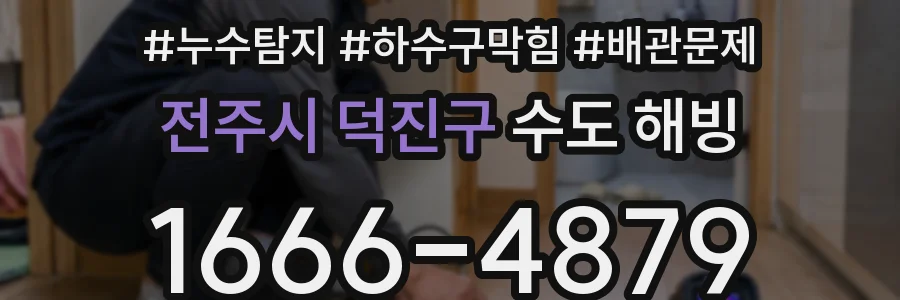 전주시 덕진구 수도 해빙