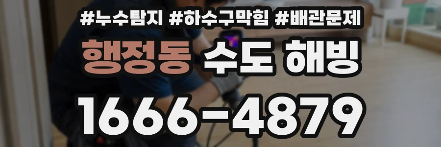 행정동 수도 해빙