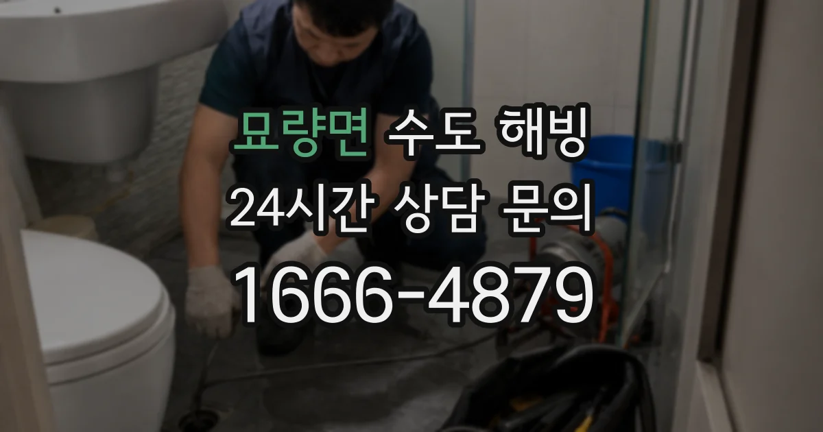 묘량면 수도 해빙