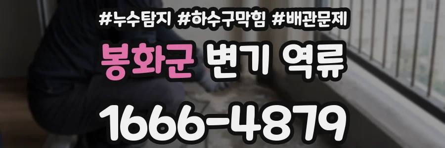 봉화군 변기 역류