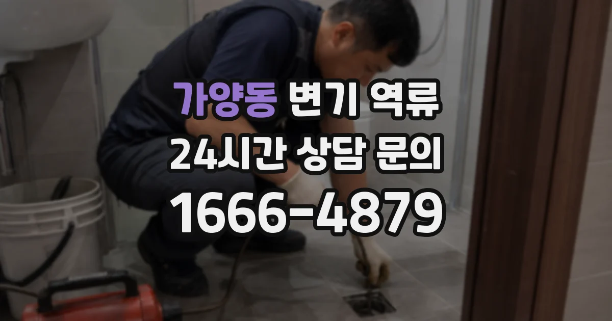 가양동 변기 역류