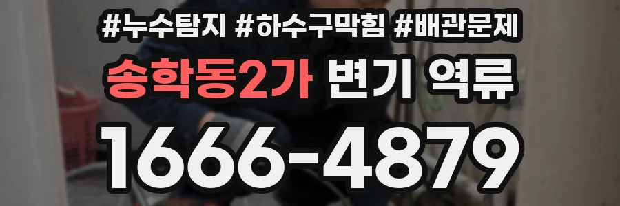 송학동2가 변기 역류