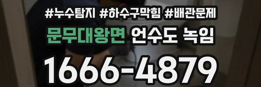 문무대왕면 언수도 녹임