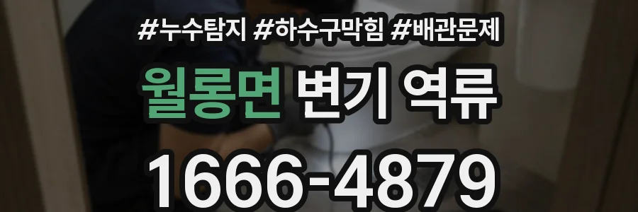 월롱면 변기 역류