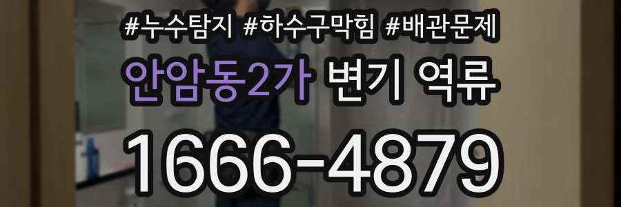 안암동2가 변기 역류