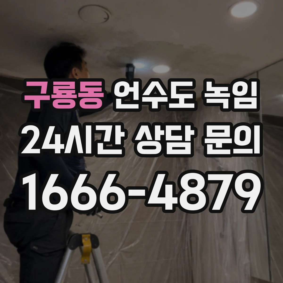 구룡동 언수도 녹임