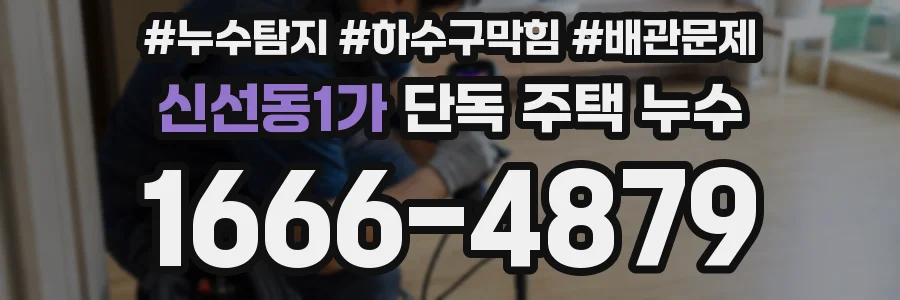 신선동1가 단독 주택 누수