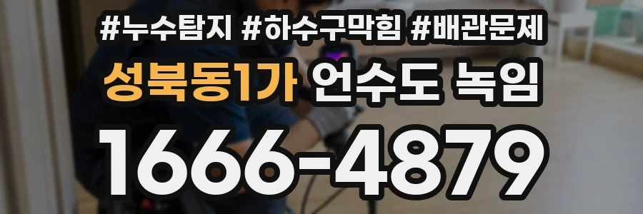 성북동1가 언수도 녹임