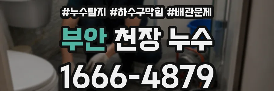 부안 천장 누수