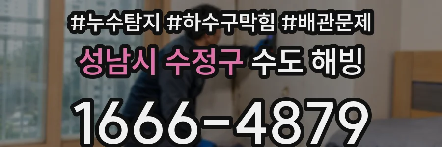 성남시 수정구 수도 해빙