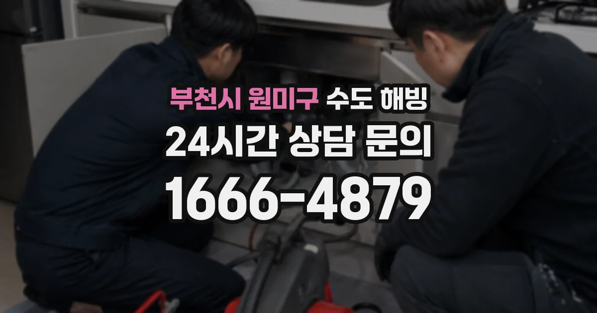 부천시 원미구 수도 해빙
